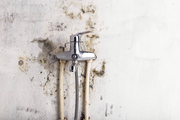 Reliable Happy Valley, CA Mold Remediation Solutions