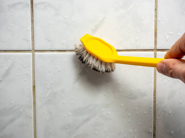 Best DIY Mold Remediation Support Services in Happy Valley, CA