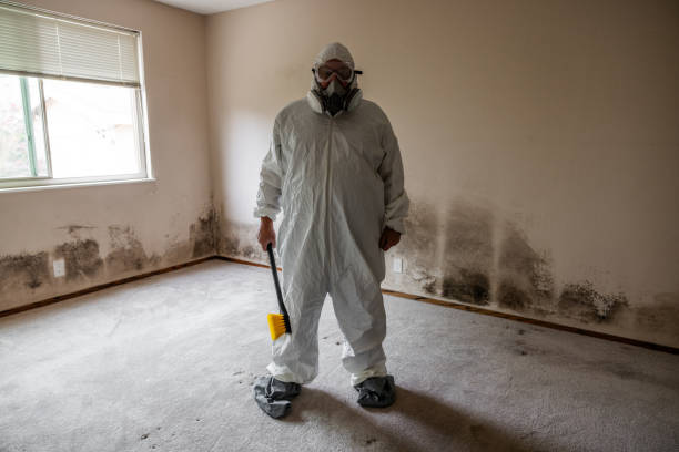 Best Residential Mold Remediation in Happy Valley, CA